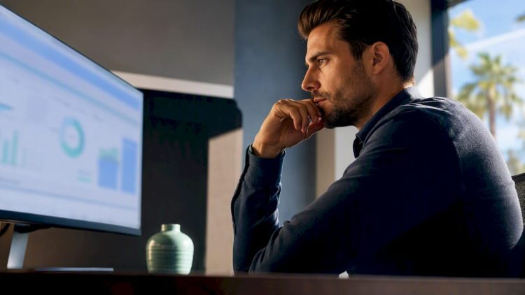 Analyst reviewing PPC search-term performance