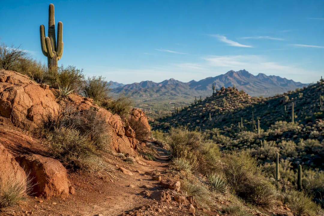 Sonoran Desert showing Arizona regional colors