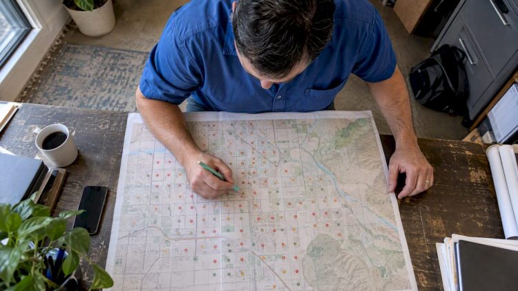 Business owner reviews local ranking grid