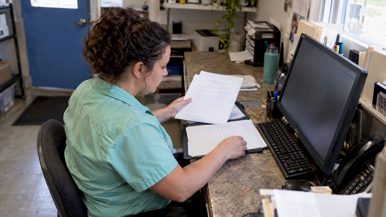 Owner checking business details across profiles